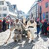 Bild :