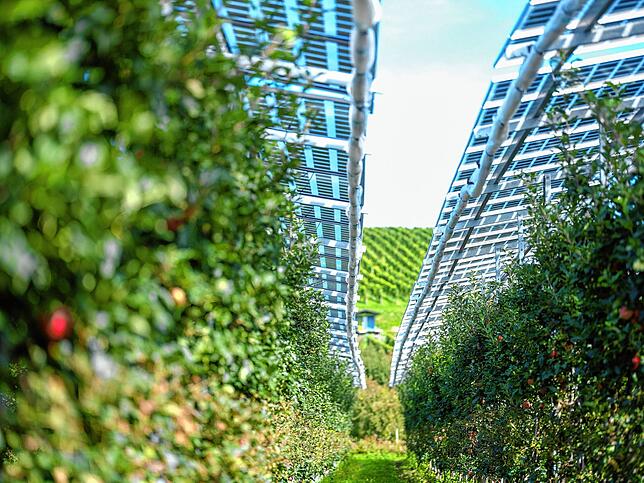 Sie schützt vor Hagel und liefert Strom: Agri-Photovoltaik in Kressbronn.