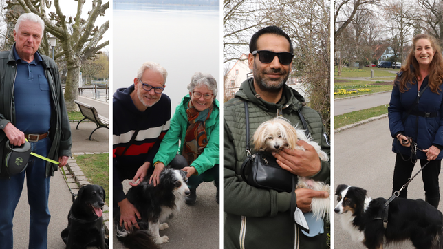 Hundehalter aus Konstanz haben dem SÜDKURIER erzählt, weshalb sie gegen oder auch für die Ausweitung der Leinenpflicht in der Stadt sind.
