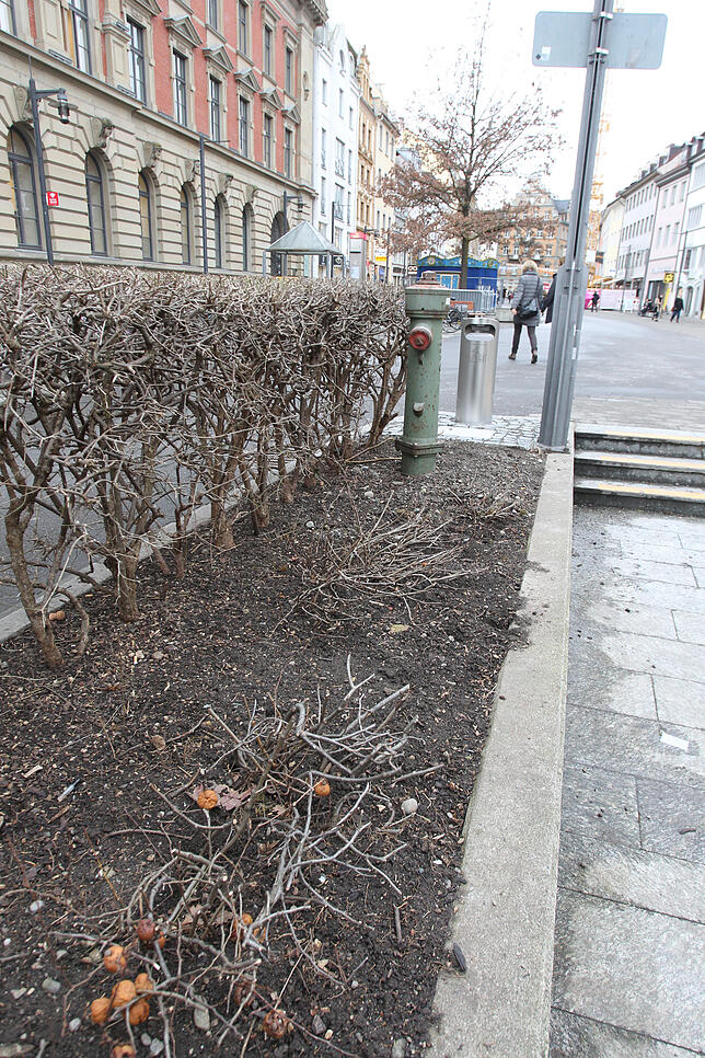 2017 versteckten Jugendliche in diesen Blumenkübeln an der Marktstätte Alkoholflaschen, die sie dann am Schmotzigen holten.