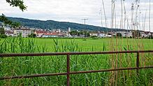 Noch grüne Wiese zwischen Bundesstraße und Stadtrand: Markdorf soll weiter nach Süden wachsen, auf dem künftigen Baugebiet Untere ...