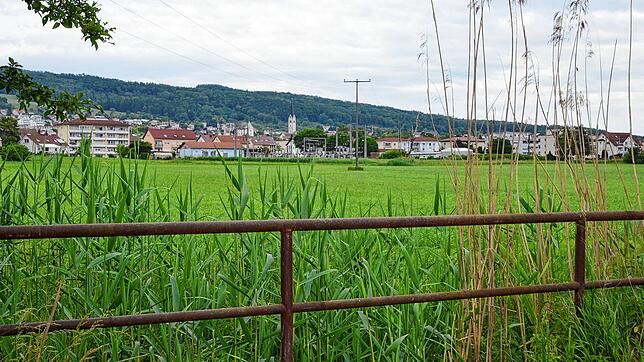 Noch grüne Wiese zwischen Bundesstraße und Stadtrand: Markdorf soll weiter nach Süden wachsen, auf dem künftigen Baugebiet Untere ...