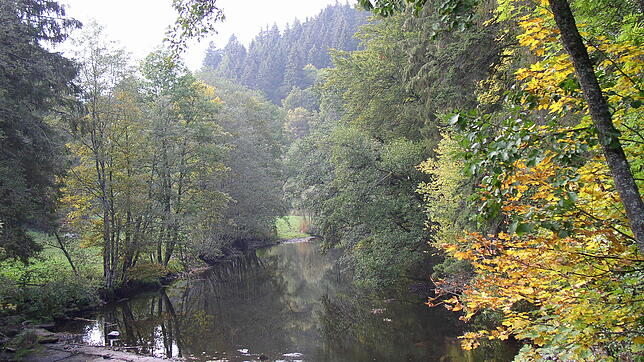 Die Gauchachschlucht ist die kleine Schwester der Wutachschlucht, auch sie bietet für Naturfreunde und Wanderer einmalige Naturerlebnisse.