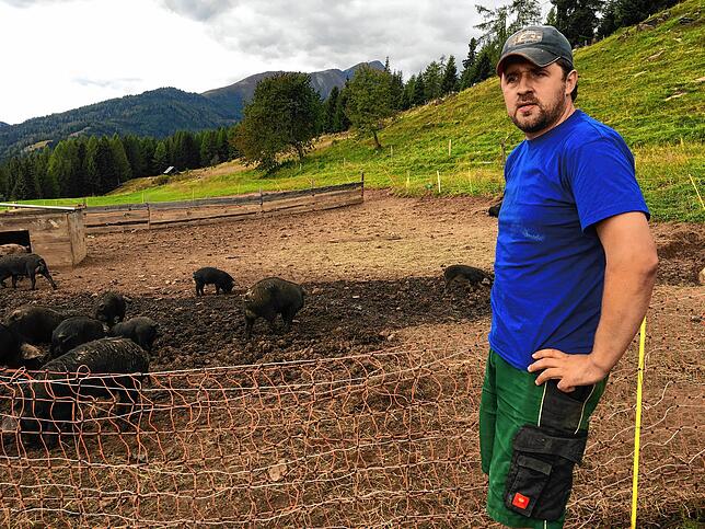 Er darf bleiben: Landwirt Christian Bachler mit Schweineherde.