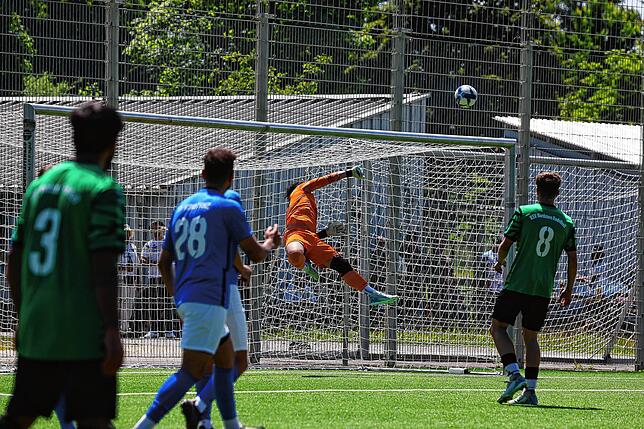 Bild 12: So sehen Sieger aus! Die besten Bilder von der Meisterfeier des SV Konstanz