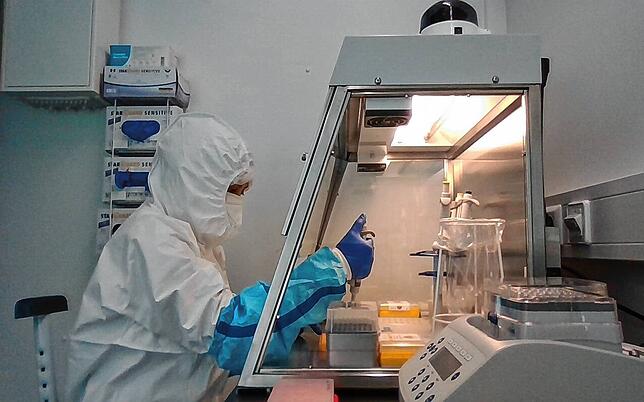 Doktorandin Anna Chagas extrahiert DNA aus Sedimenten des Bodensees im Labor für alte DNA der Universität Konstanz.