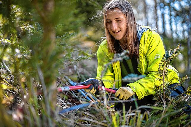 Voluntourismus ist im Trend – also im Urlaub etwas Gutes für die Natur zu tun.