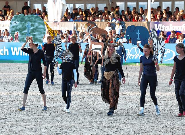 Bild 7: So spektakulär war der Showabend beim Fest der Pferde