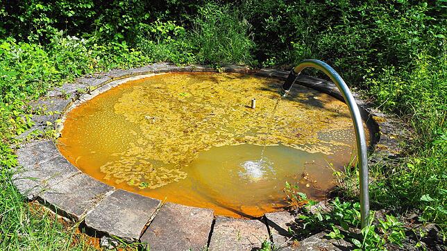 Die Thermalquelle in Nack könnte hervorragend als Wärmequelle für das Wärmenetz in Nack genutzt werden. Foto: Ralf Göhrig