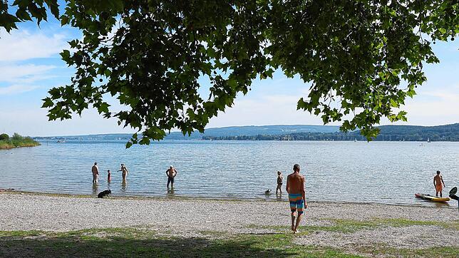 Blick auf den Bodensee vor dem Herzenbad. Hier wurde am Mittwoch, 21. August, ein 37-Jähriger bewusstlos entdeckt.