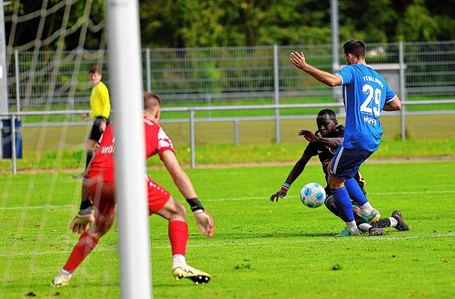 Bild 24: Unsere große Bildergalerie vom 8:1-Sieg des TSV Singen in der Verbandsliga gegen den FC Waldkirch