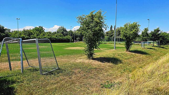 Die beleuchtete Haupterschließung soll über eine neue Allee entlang des Sportplatzes erfolgen, womit eine Verbindung zum ...