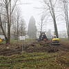 Auf dem Büdingen-Areal beginnen die Fällarbeiten. Die Stadt hat die Fällung von 49 Bäumen genehmigt.
