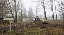Auf dem Büdingen-Areal beginnen die Fällarbeiten. Die Stadt hat die Fällung von 49 Bäumen genehmigt.