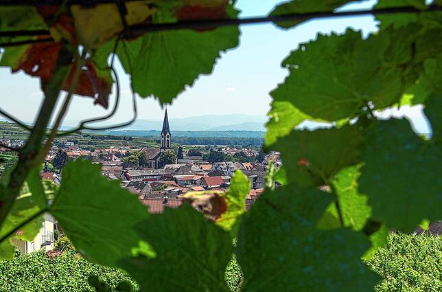 Die Übersichtsaufnahme zeigt Ihringen am Kaiserstuhl. Eine der bekanntesten Weinbaugemeinden in Baden.