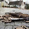(Symbolbild) Nach Silvester bleibt, wie hier in Singen, vielerorts Müll liegen. In Kreuzlingen könnte das bald der Vergangenheit angehören.