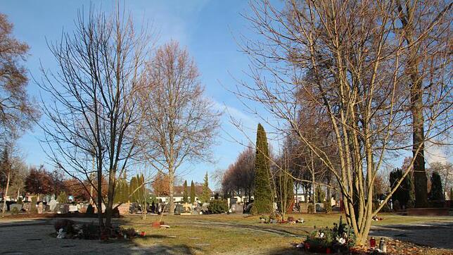 In einem kleinen Bereich des Friedhofes sind schon Baumbestattungen möglich. Langfristige Planungen sehen vor, auf den Bestattungstrend ...