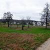 Auf diesem landwirtschaftlichen Areal westlich von Kaltbrunn plant die Gemeinde Allensbach ein Neubaugebiet. Doch der Streuobstbestand ...
