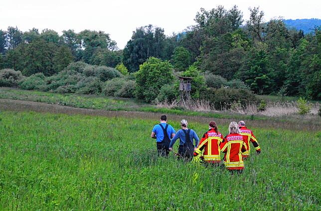 Die Drohne hat Tiere ausgemacht, jetzt startet der Suchtrupp durch die hohe Wiese Richtung Waldrand. Aber hier treffen sie nur auf ...