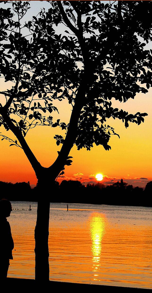 Sonnenuntergang am Bodensee, aufgenommen von Silvia Weihrauch.