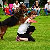 Spaß mit Hund: Zwölf Gemeinderäte wollen eine Senkung der Hundesteuer. Unser Bild entstand an einem Geschicklichkeitswettbewerb.