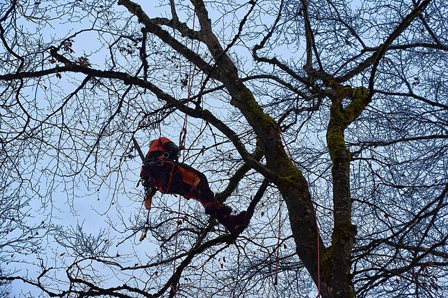 Bild 18: Kommen Sie mit in die Marienschlucht! Bilder von schönen Ausblicken und gefährlichen Anblicken