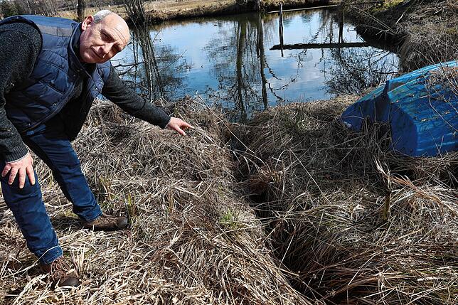 Ortsvorsteher Bernd Bucher zeigt auf einen Graben, den ein Biber zum Fischweiher in den Oberen Wiesen zwischen Rietheim und Villingen ...