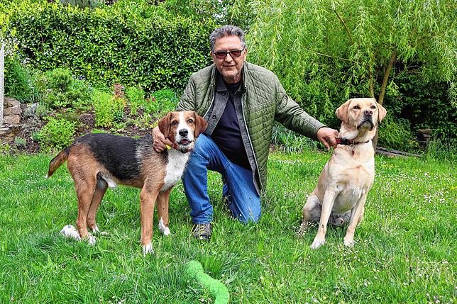 Joachim Kaluza hat seinen Pflegehund Luis (links) und seinen Adoptivhund Gino (rechts) über den Verein Herzenshunde Griechenland ...