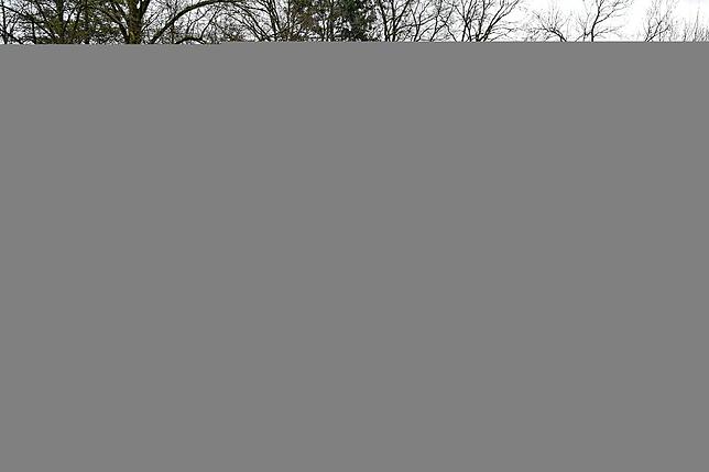 Bild 10: So schön war der Schmutzige Donnerstag in Lauchringen - Die schönsten Narren-Bilder des Tages!