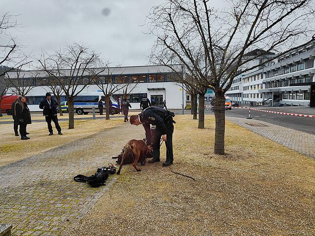 Hunde durchsuchen die Taschen der Journalisten.