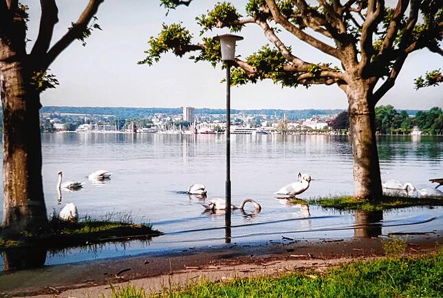 Bild 24: Hochwasser am Bodensee 1999: Diese Leserbilder zeigen das Ausmaß in Konstanz
