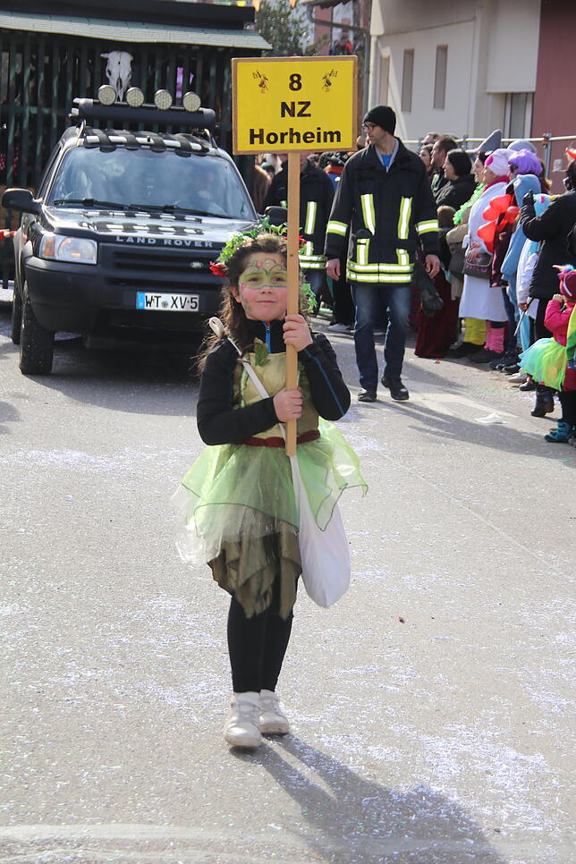Bild 5: Bilder zum Narrentreffen in Schwerzen (1)