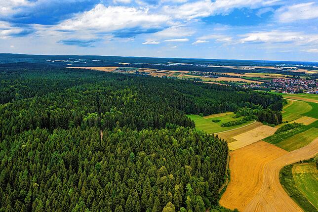 Weisswald und Ochsenberg bei Tannheim sind Bestandteil eines europaweiten Naturschutzprojekts.