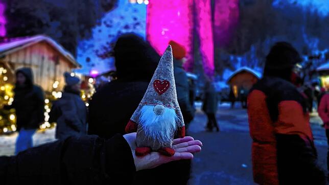 Diesen Weihnachtswichtel haben wir für unsere Redaktion gekauft.