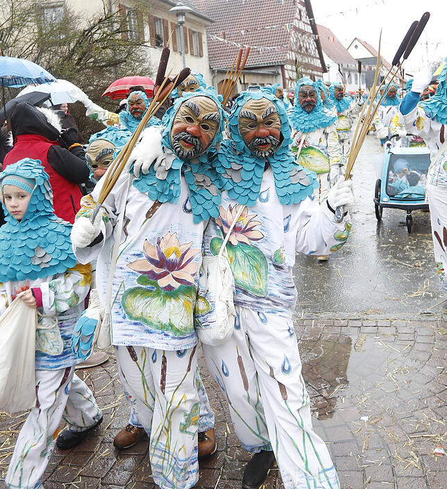 Bild 13: Bilder zum großen Narrentreffen in Pfohren (2)