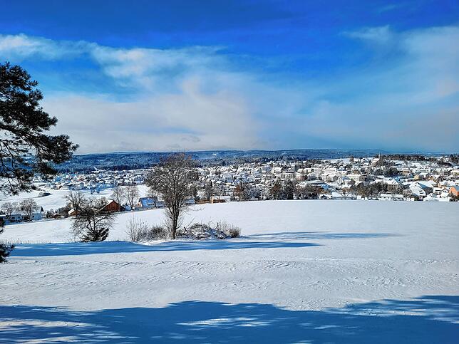 Bild 5: Der Winter hat zugeschlagen Teil 1