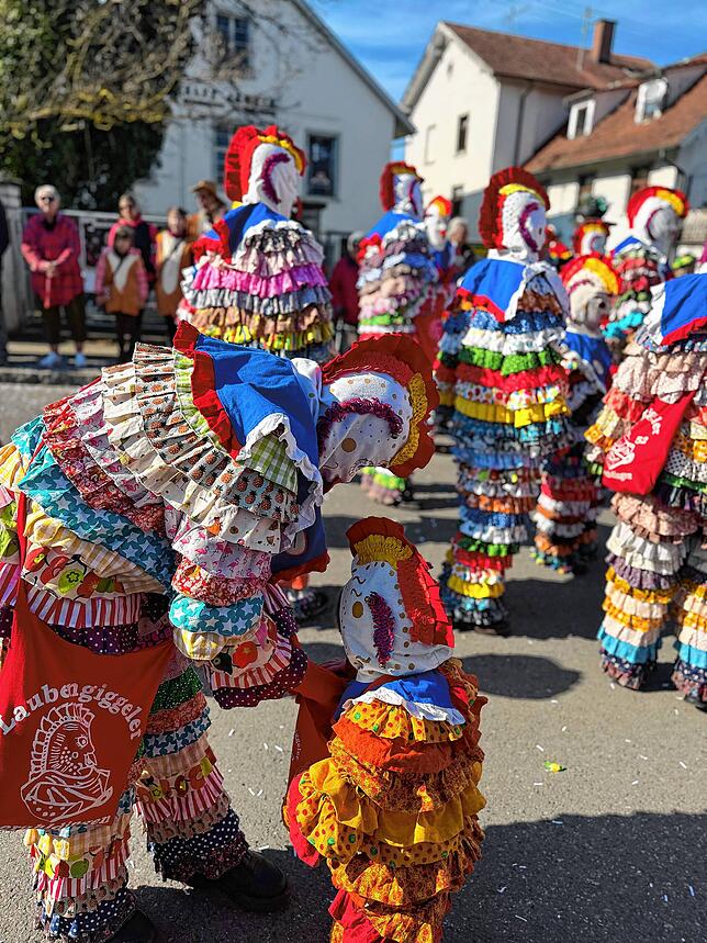 Bild 7: Fasnacht 2025: Alle Bilder vom Gemeinschaftsumzug in Mühlhofen