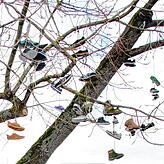 Da baumelten noch die Turnschuhe in den Ästen. (Aufnahme von Februar 2018)