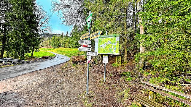 Der Rohrhardsberger Weg vom Mühlebühl zum Skilift Rohrhardsberg soll Zug um Zug saniert werden. Bild: Christel Börsig-Kienzler