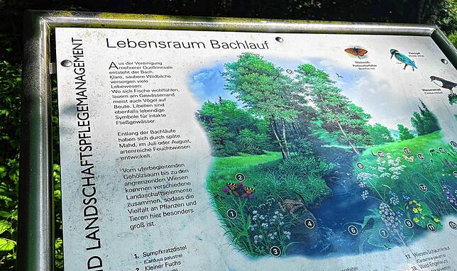 Eine Tafel am Villinger Warenbach erläutert den Lebensraum Bachlauf. Pflanzen, Vögel, Fische, Kleinlebewesen und Insekten leben hier.