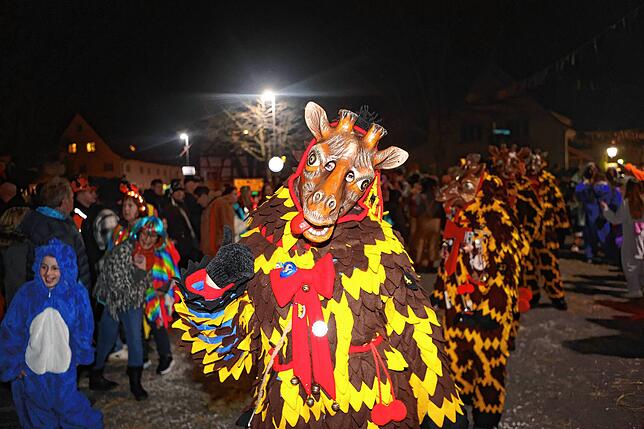 Bild 15: Nachtumzug Möggingen 2025: Fasnacht in Bildern – 30 Gruppen in voller Pracht