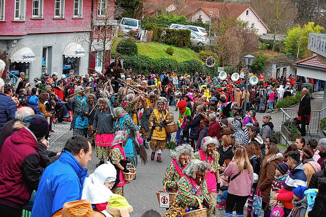 60 Zünfte, Guggenmusiken und Hästräger gaben sich am Sonntag beim großen grenzüberschreitenden Fasnachtsumzug die Ehre und kamen nach ...
