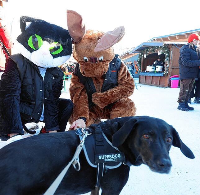 Die beiden Maskottchen verwöhnen die Vierbeiner mit Leckerli.