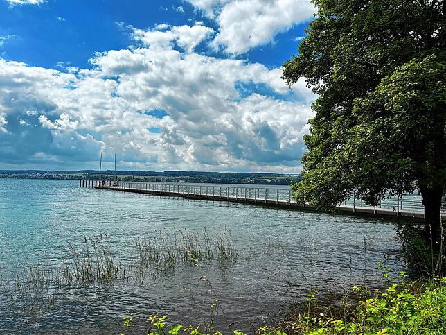 Auch hier ist der Uferbereich überflutet: Die Pflanzen, die sonst an der Wasserlinie stehen, ragen aus dem See.