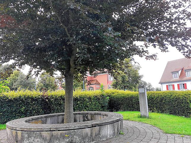 Zum 60. Geburtstag von Fürst Heinrich setzte die Gemeinde vor dem Rathaus eine Blutbuche.