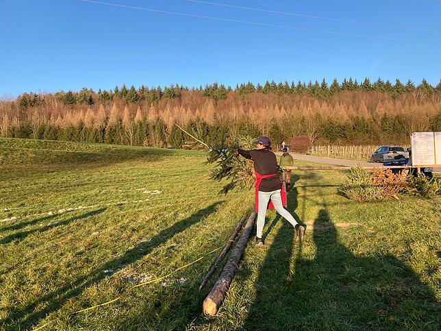 Bild 5: Weihnachtsbaum-Weitwurf in Neufrach: Die besten Bilder vom Funken-Fest!