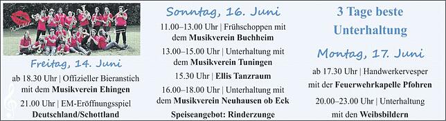 Bild 1: Pfarrbruckfest Aulfingen: Pfarrbuck wird zur Festmeile