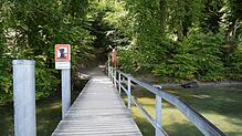 Der Steg am Fuß der gesperrten Marienschlucht muss erneuert werden, damit Baumaterial für spätere Maßnahmen gebracht werden kann. ...