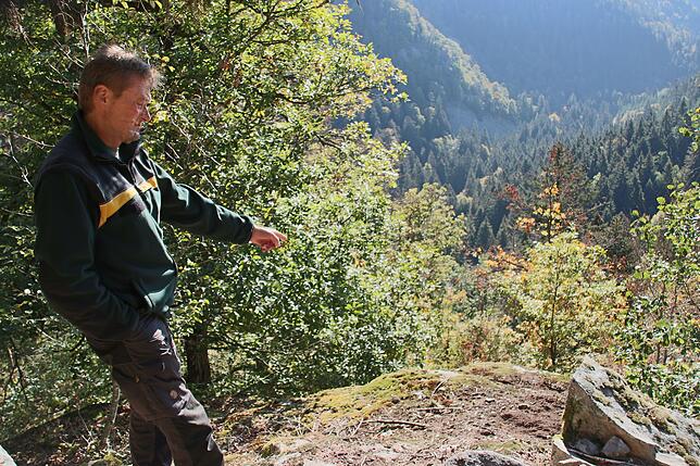 Revierleiter Robert Becker zeigt auf Spuren, die von Gemsen stammen. Sie fühlen sich im steilen Gelände des Bannwalds Schwarzahalde wohl.
