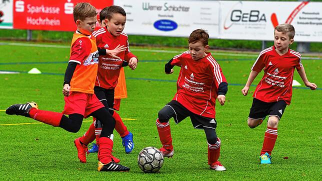Freude am Fußball: Die Jugendabteilung des FC Bergalingen &ndash; hier Spieler der E-Junioren beim Spieltag im Oktober &ndash; ist trotz ...